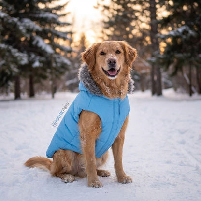 Sky Blue Waterproof & Lightweight Dog Puffer Jacket