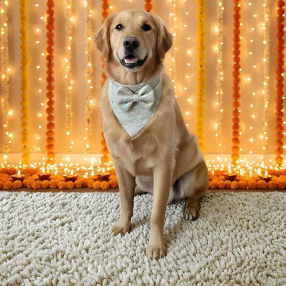 Luxury Mint Whirl Dog Bandana | Festive Pet Scarf