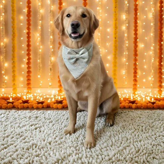 Luxury Mint Whirl Dog Bandana | Festive Pet Scarf
