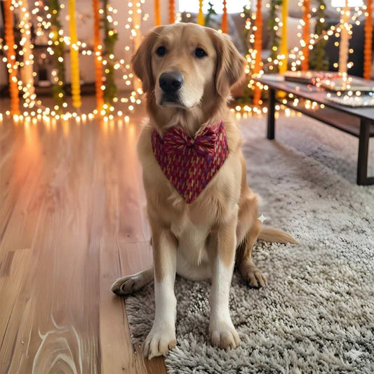 Luxury Dog Regal Bandana Multicolour | Stylish Pet Accessory