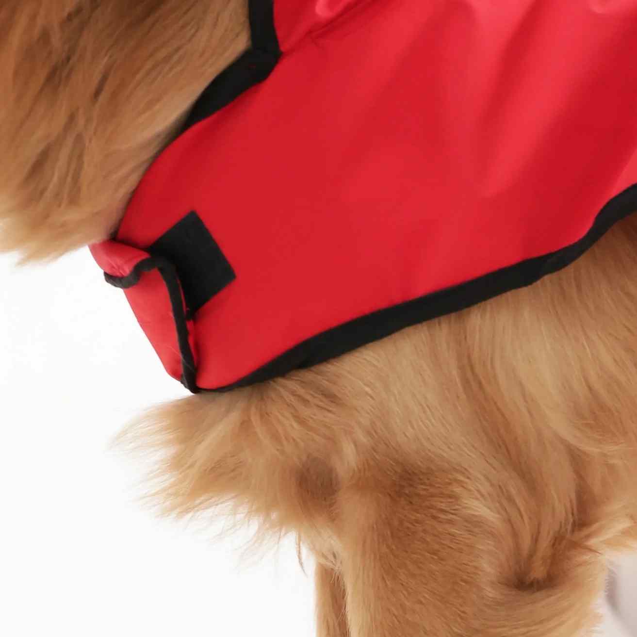 Happy Paws Dog Raincoat | Waterproof Cartoon Monsoon Jacket