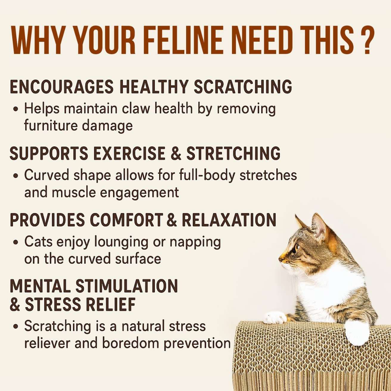 2-in-1 Reversible Cat Scratcher with Catnip for Indoor Cats & Kittens