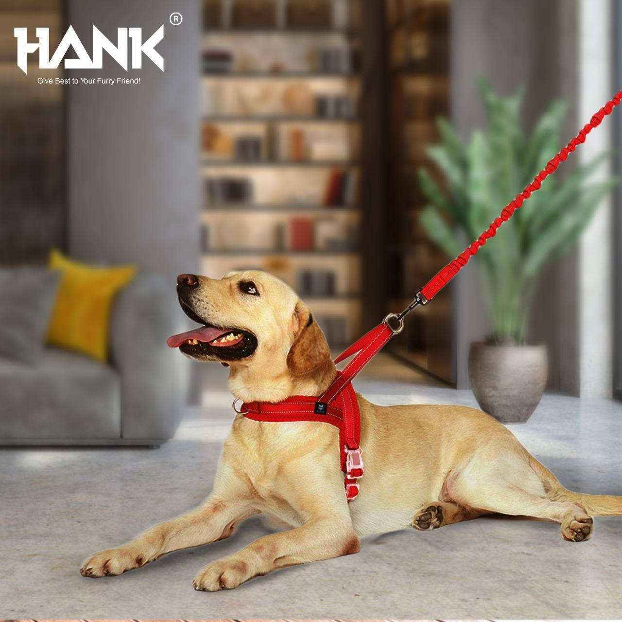 Hank Red Dog Harness