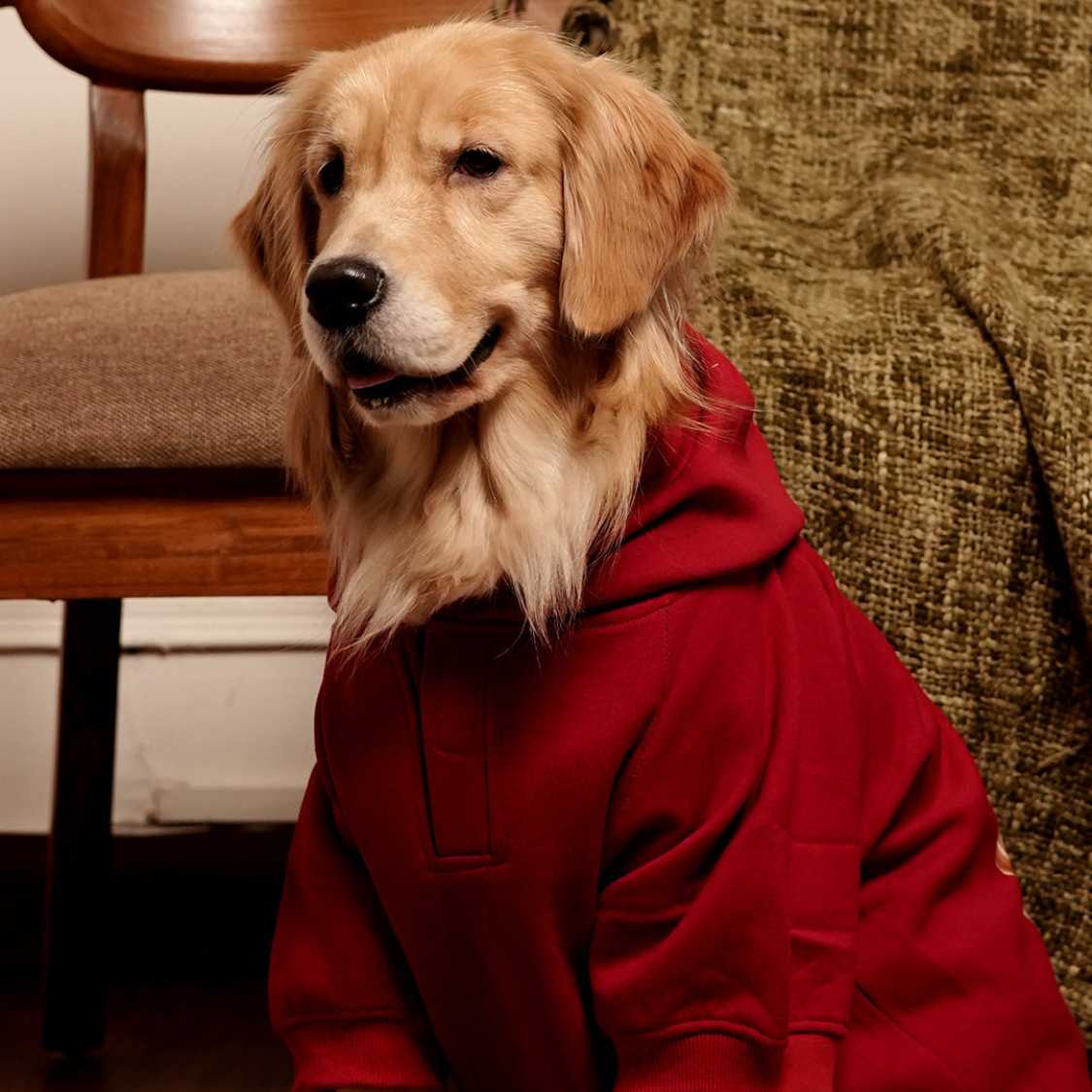 Rudolph Red Hoodie | Festive Red Winter Pet Hoodie