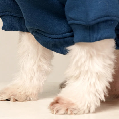 MidSky Lounge Hoodie | Cool Blue Winter Pet Hoodie