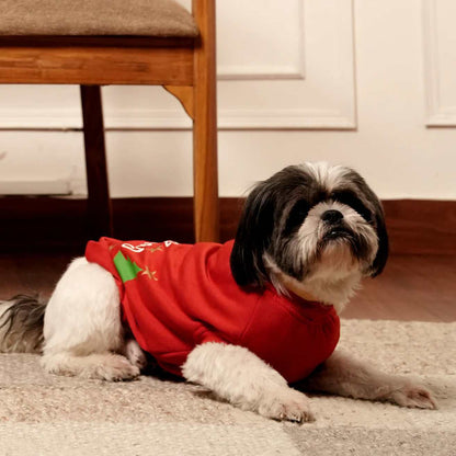 Jingle Joy T-shirt | Christmas Red Winter Pet T-shirt
