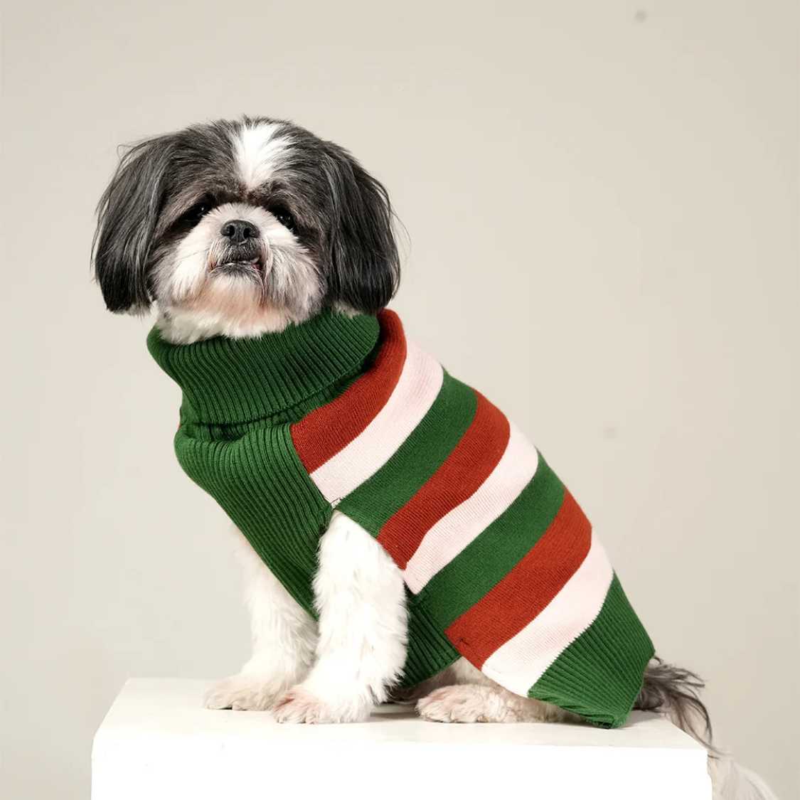 EarthBound Stripes Sweater | Classic Striped Winter Pet Sweater