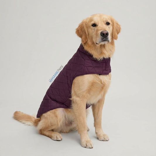 Wine Puffer Quilted Jacket for Dogs & Cats
