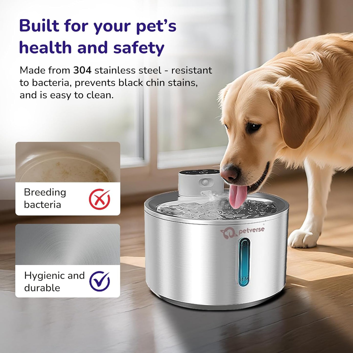 stainless steel pet water fountain infographic showcasing hygienic bacteria-resistant benefits with a golden retriever dog drinking.