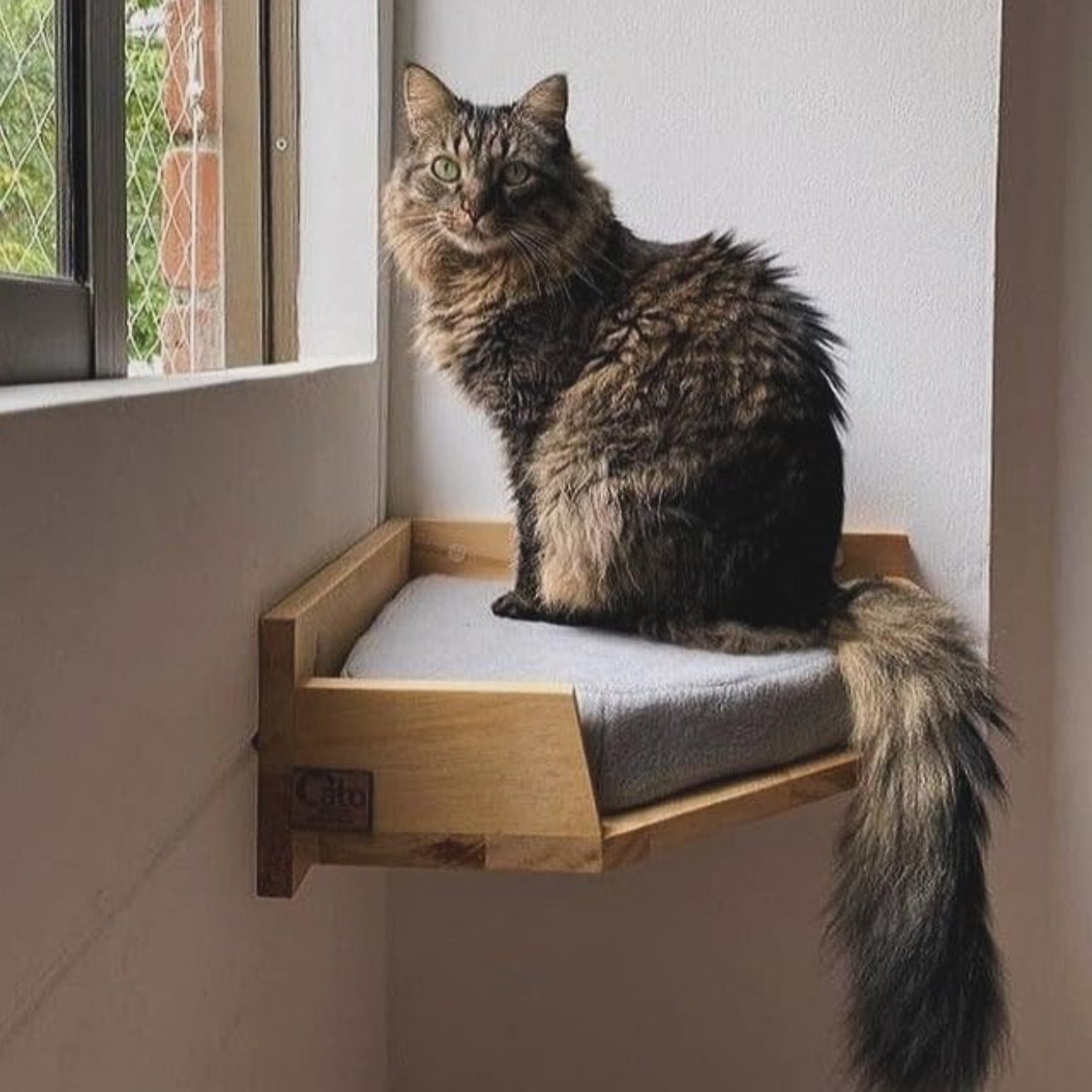Cat Corner Shelf - Wall Mounted Cat Perch