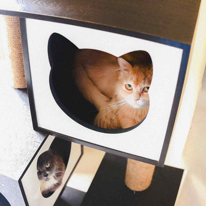 Modern Cat Tree Tower | Climb Scratch Rest & Play Indoors
