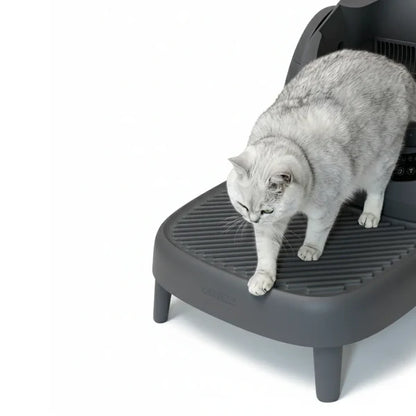 Grey cat using a textured plastic litter catcher ramp on a white background.