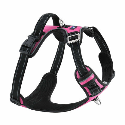 Pink Harness Dog