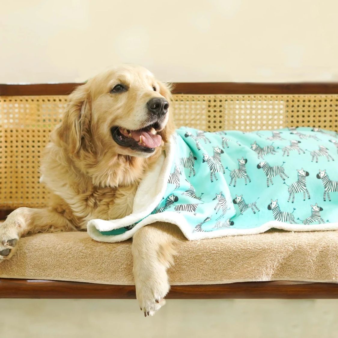 anti pill pet blanket