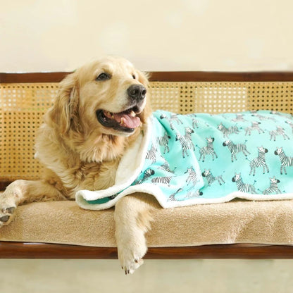 anti pill pet blanket