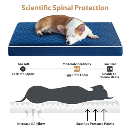 Orthopedic Memory Foam Dog Bed Waterproof Washable Anti-Slip (Blue)