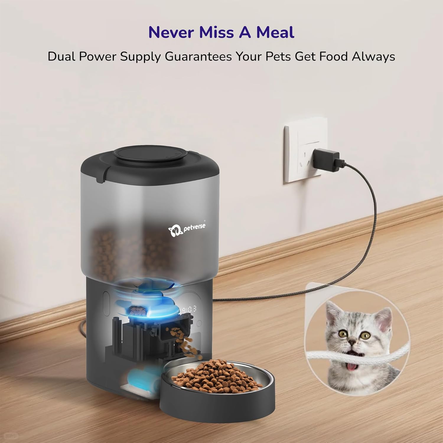 Infographic showing dual power supply and backup battery for automatic pet feeder with kitten.