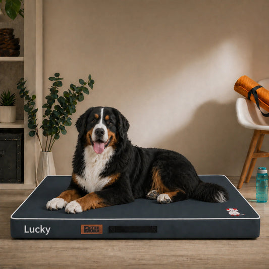 Summer Cooling Dog Bed | Orthopedic Washable Anti-Skid Pet Bed