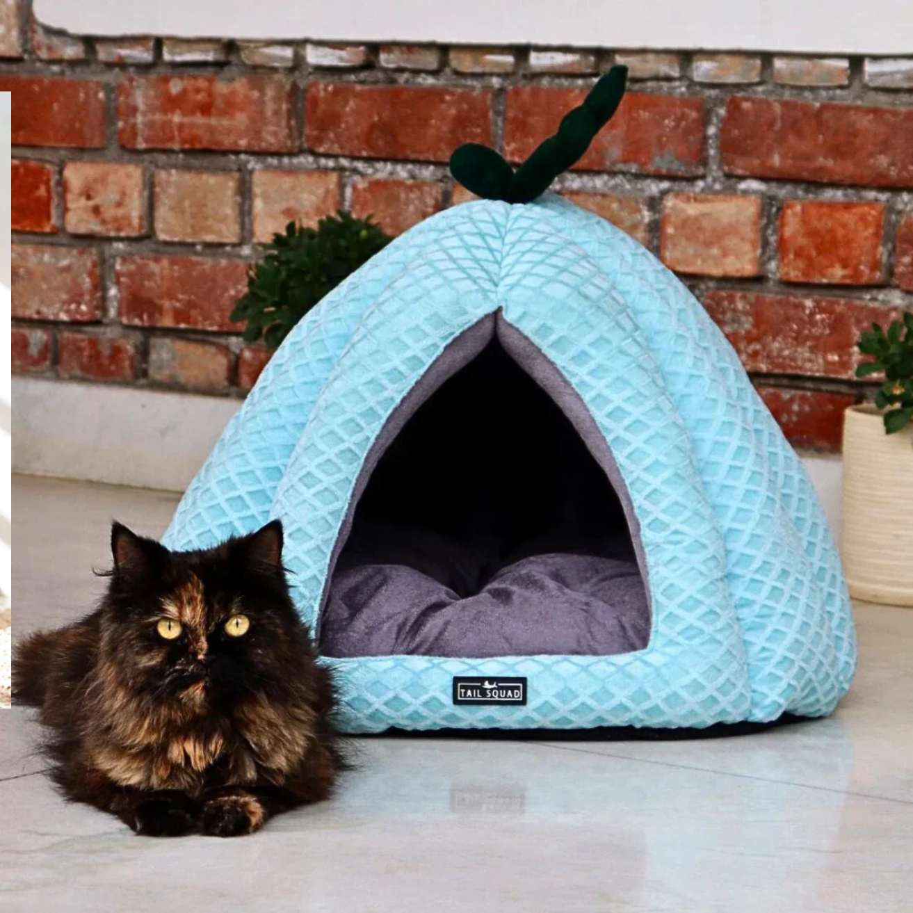 Premium Soft Pumpkin-Shaped Cat & Dog Hut (Ice Blue)
