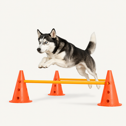 Trixie Dog Agility Training Kit | Adjustable Jump Poles For Dogs