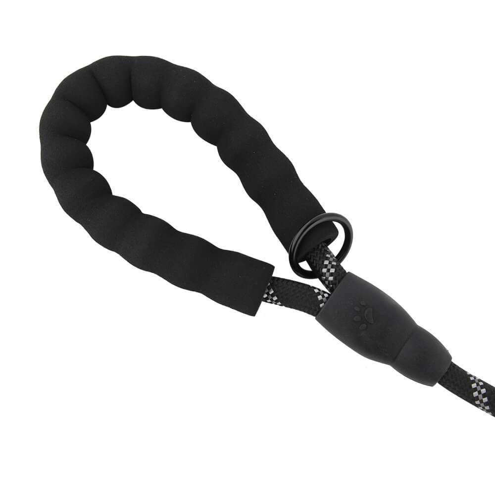 Long Dog Leash