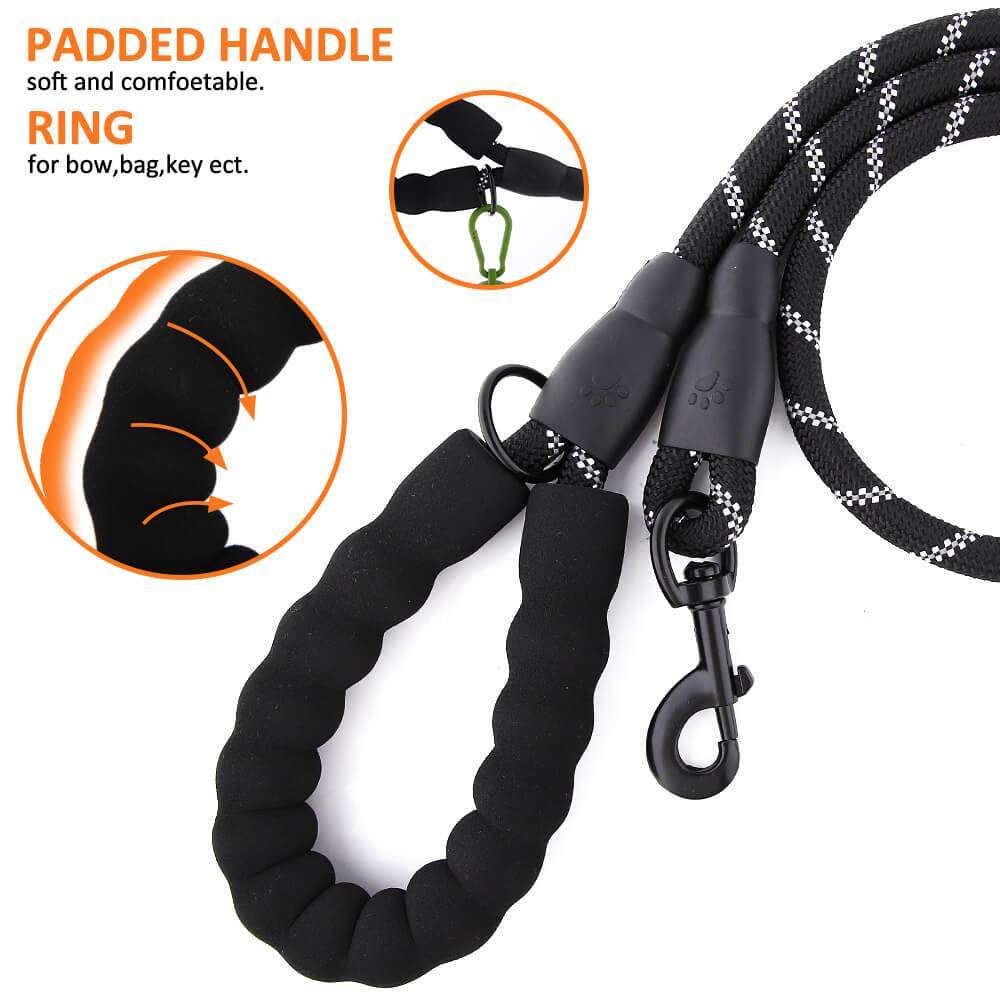 Leash For Dog