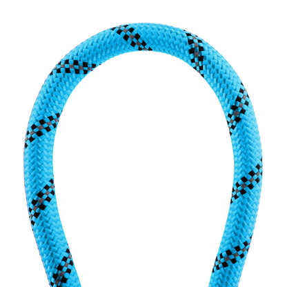 Leash For Dog
