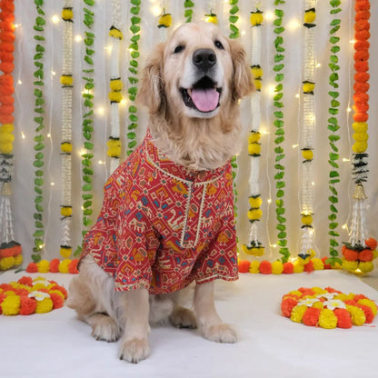 Red Dog Kurta | Traditional Soft Cotton Outfit for Festivals
