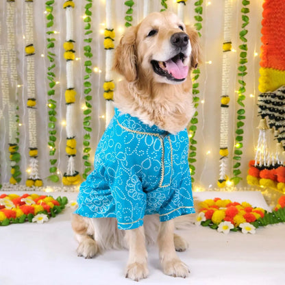Blue Dog Kurta | Soft Cotton Outfit for Weddings Festivals and Parties