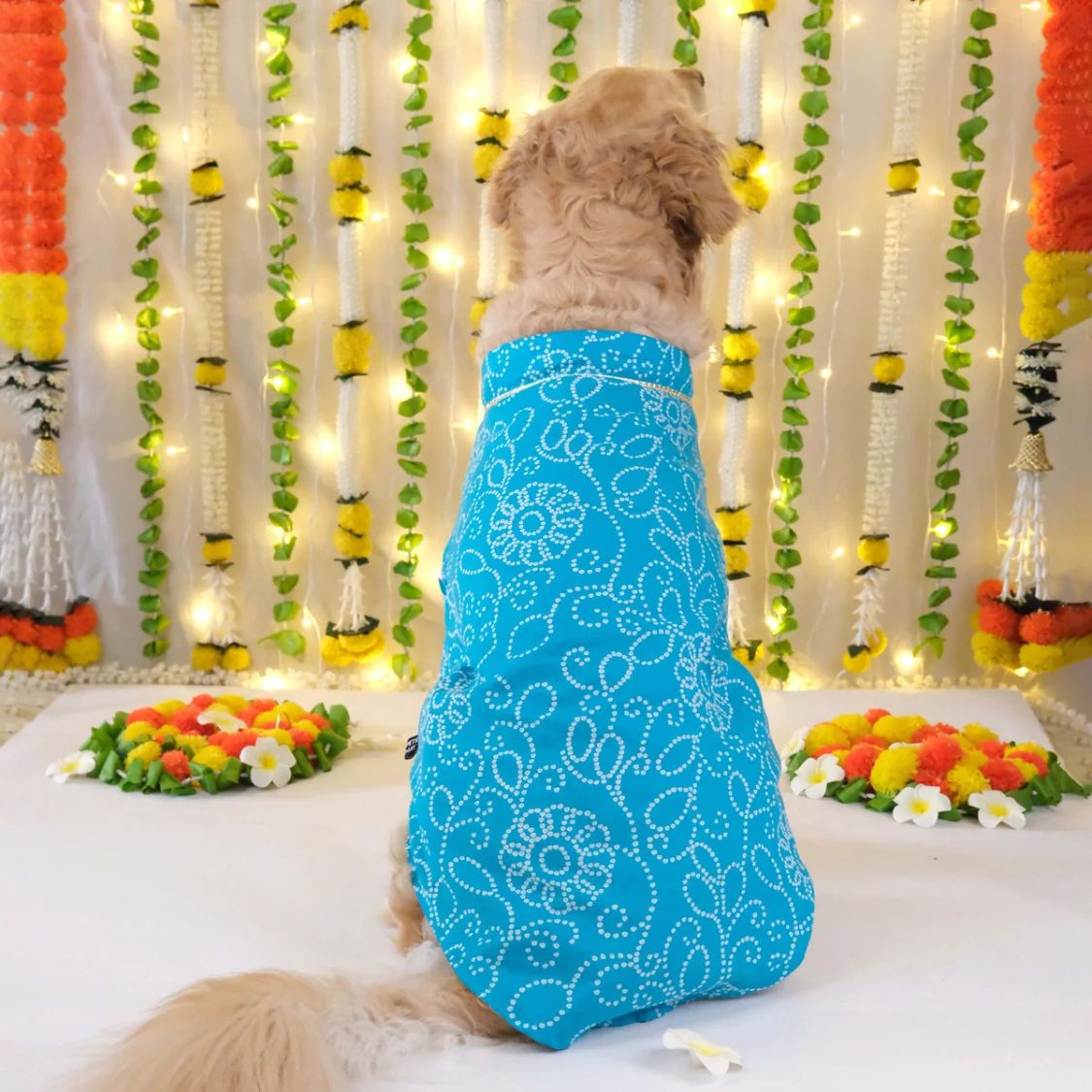Blue Dog Kurta | Soft Cotton Outfit for Weddings Festivals and Parties