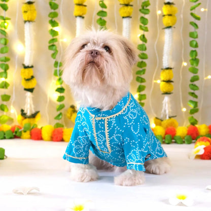 Blue Dog Kurta | Soft Cotton Outfit for Weddings Festivals and Parties