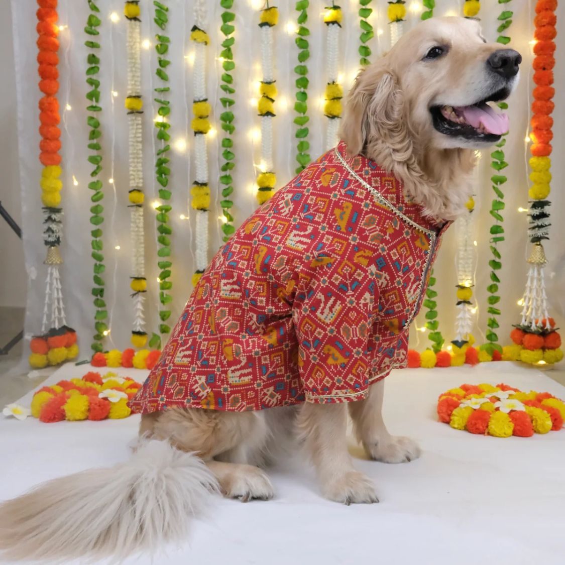 Red Dog Kurta | Traditional Soft Cotton Outfit for Festivals