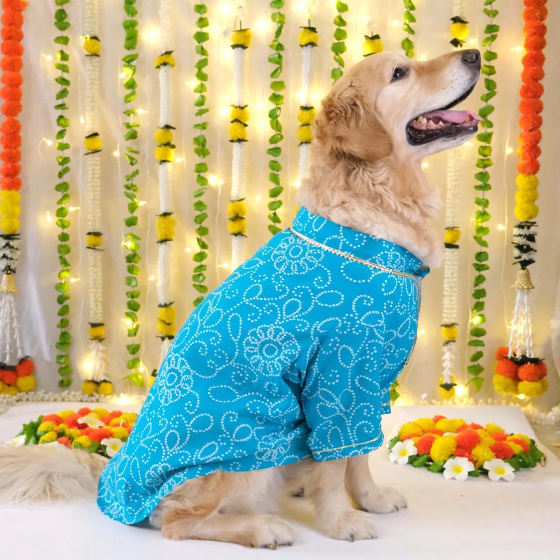 Blue Dog Kurta | Soft Cotton Outfit for Weddings Festivals and Parties