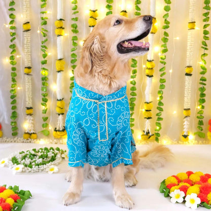 Blue Dog Kurta | Soft Cotton Outfit for Weddings Festivals and Parties