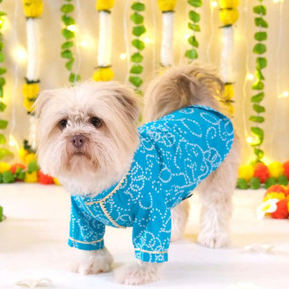 Blue Dog Kurta | Soft Cotton Outfit for Weddings Festivals and Parties