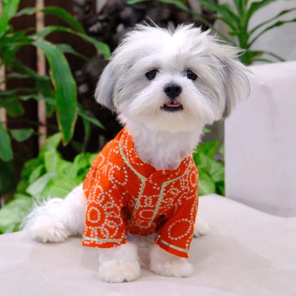 Traditional Dog Kurta | Cotton Outfit | Festive Dog Wear for Celebrations