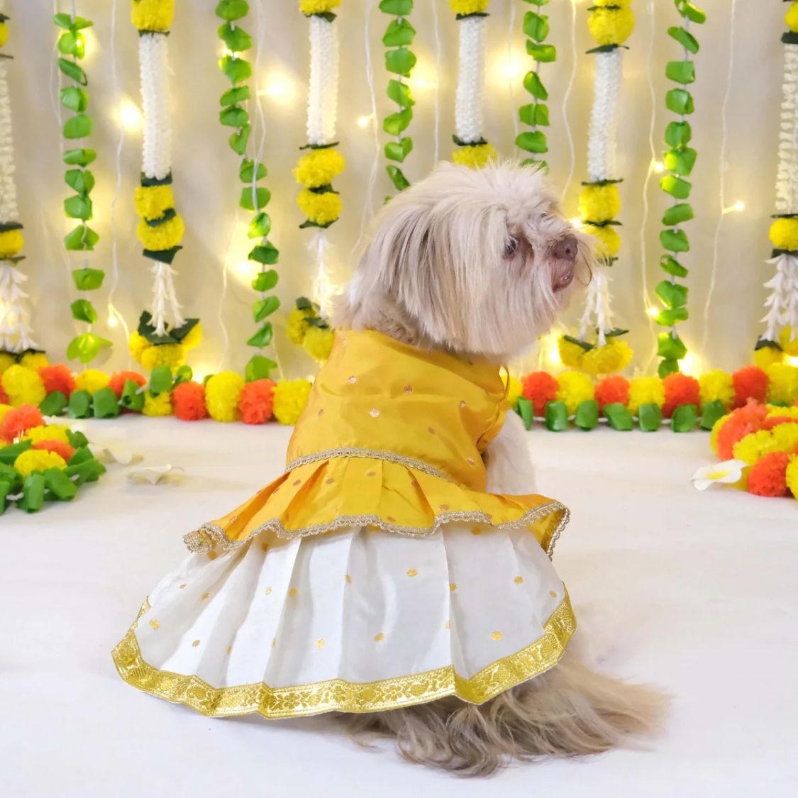 breathable pet dress