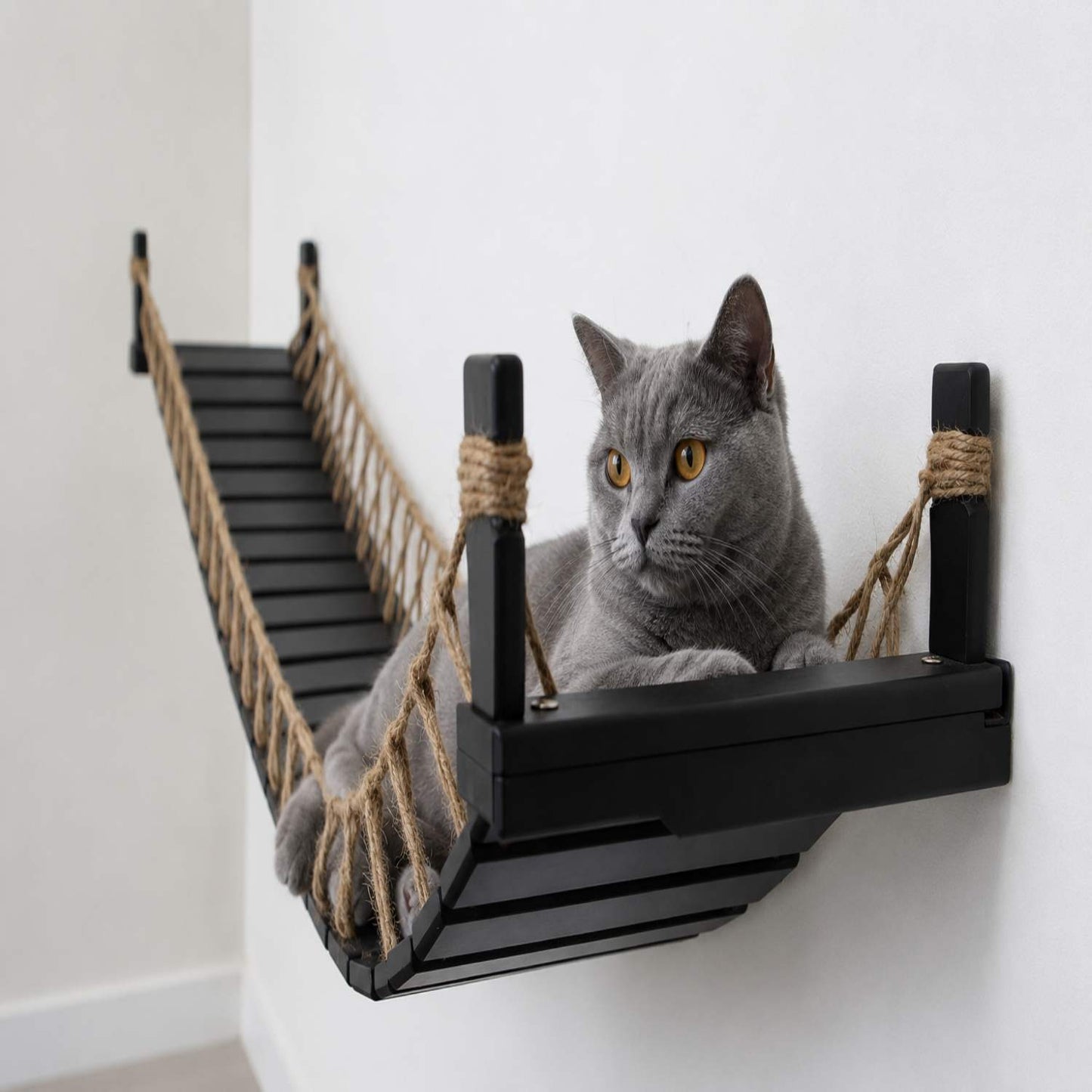 Feline Pathways Cat Bridge | Wall Mounted Cat Bridge, Cat Climbing Shelf (Black)