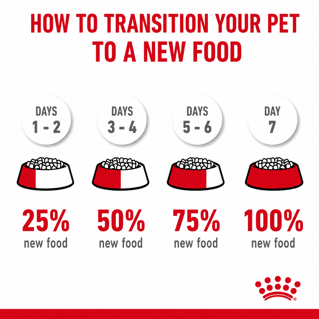 Royal Canin Hair & Skin Care Cat Food | Healthy Coat & Skin Support
