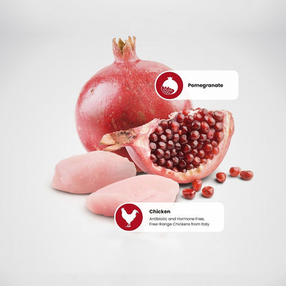 Cat Food | Cat Dry Food with Chicken & Pomegranate for Adult Cats