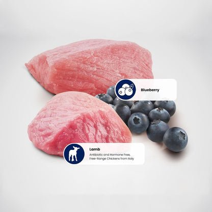 Cat Food | Dry Cat Food with Lamb & Blueberry for Adult Cats