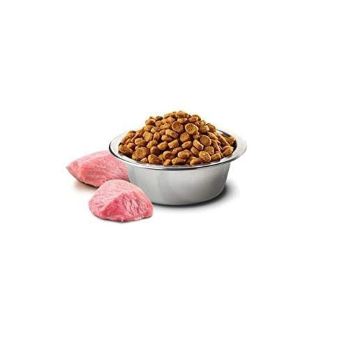 Cat Food | Dry Cat Food with Lamb & Blueberry for Adult Cats