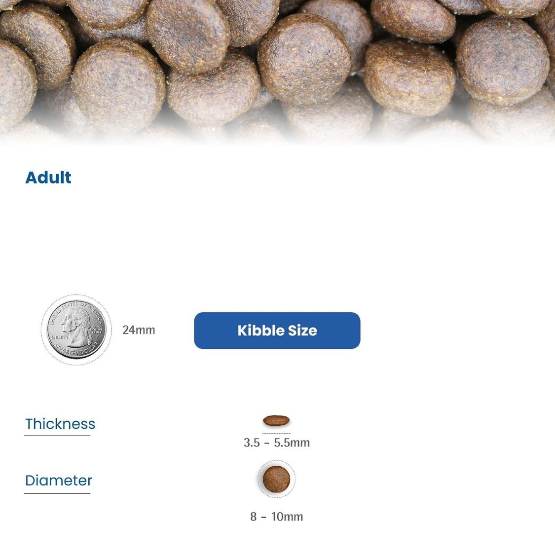 Cat Food | Dry Cat Food with Lamb & Blueberry for Adult Cats