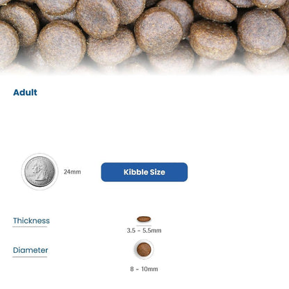 Cat Food | Dry Cat Food with Lamb & Blueberry for Adult Cats
