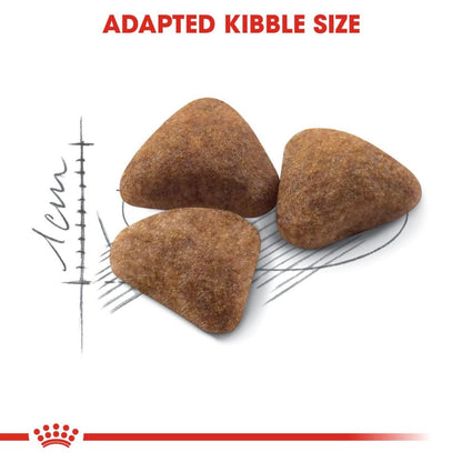 Cat Food | Dry Cat Food for Indoor Adult Cats with Digestive Support