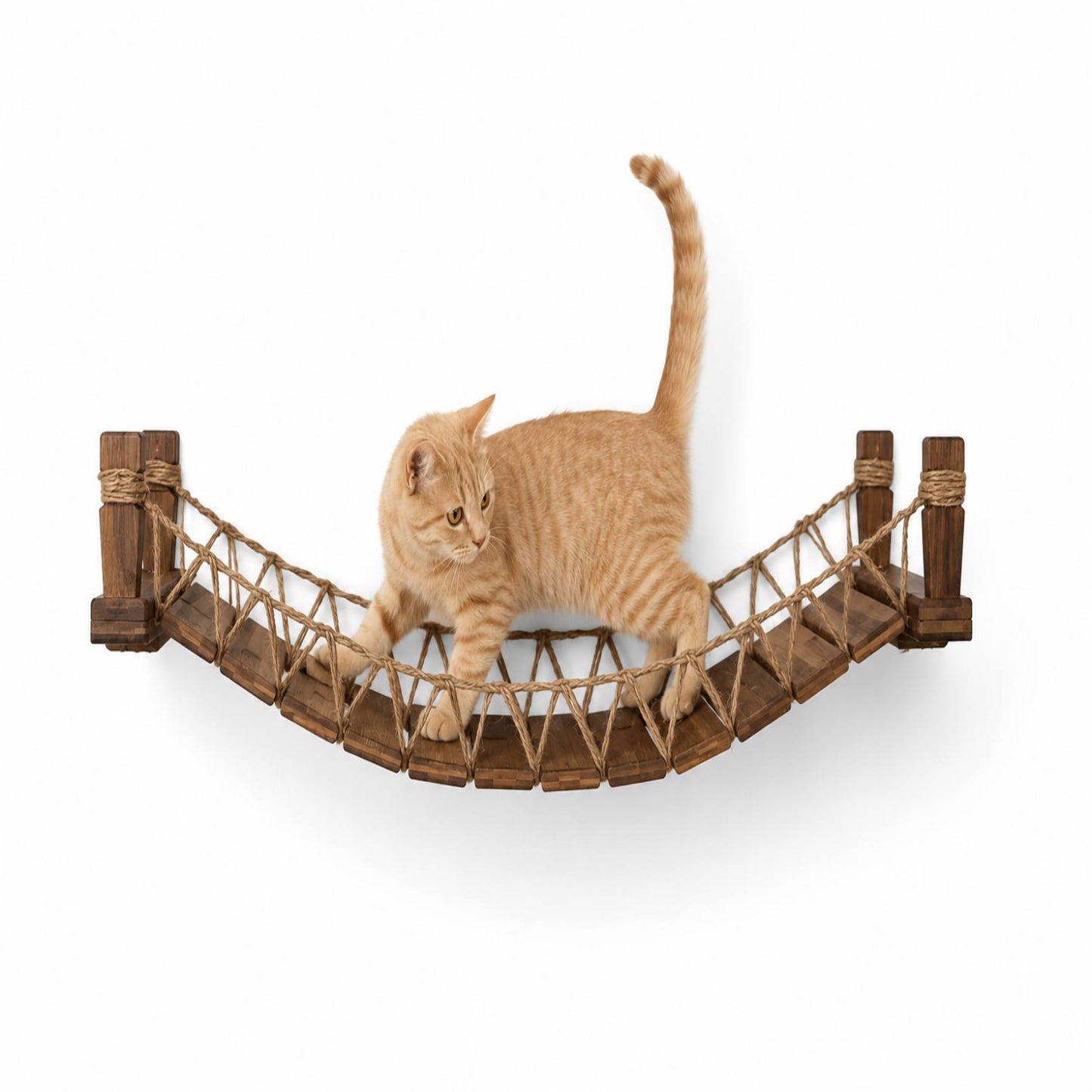 Feline Pathways Cat Bridge | Wall Mounted Cat Bridge, Cat Climbing Shelf (Brown)