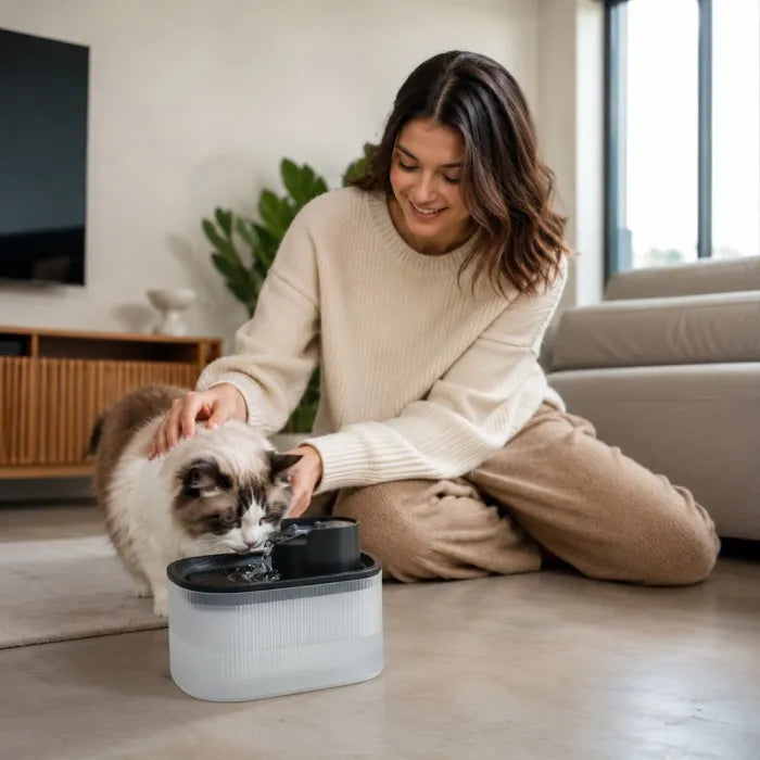 cat fountain box