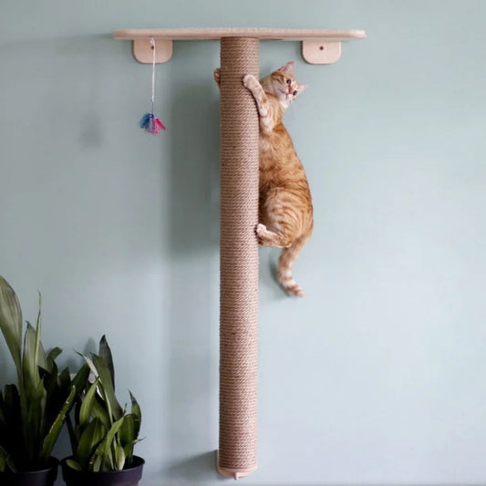 CatPaw Perch & Scratch Tree | Indoor Cat Climbing & Resting Tower