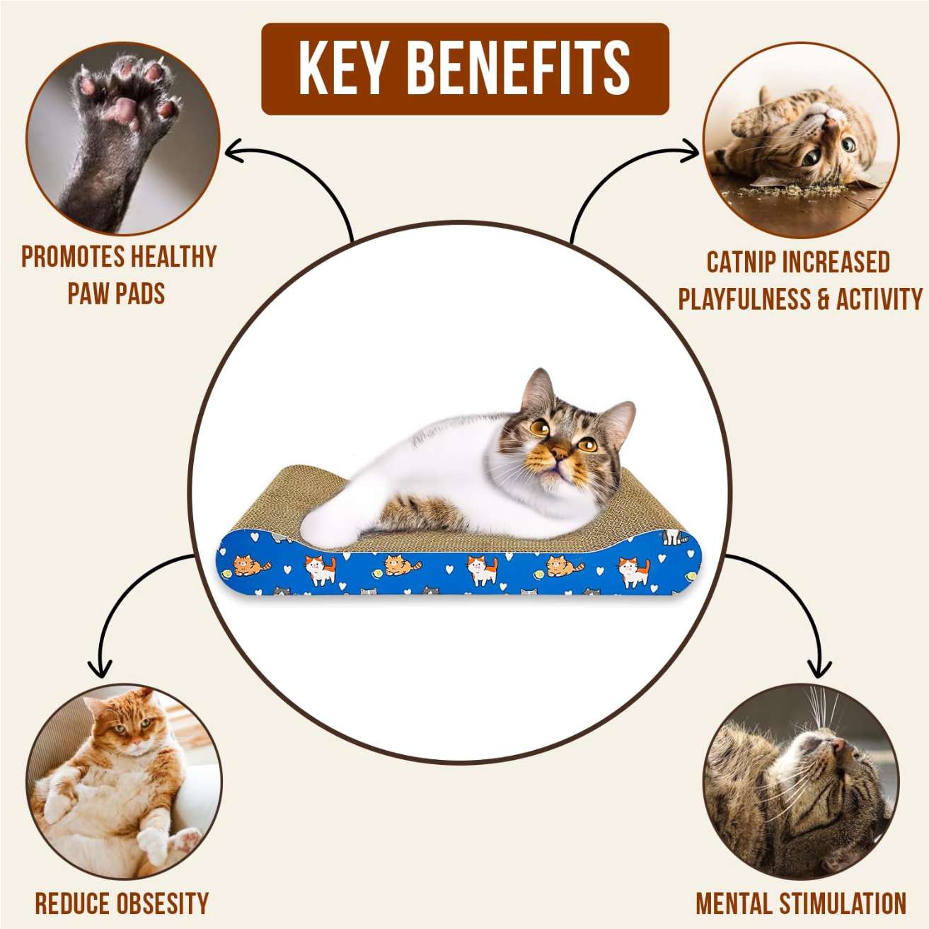 2-in-1 Reversible Cat Scratcher with Catnip for Indoor Cats & Kittens
