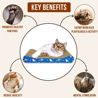 2-in-1 Reversible Cat Scratcher with Catnip for Indoor Cats & Kittens